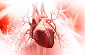 BPCO, l’association budésonide/glycopyrrolate/formotérol fumarate réduit le risque cardiovasculaire 