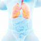 Comment la bronchiolite fait le lit de l’asthme